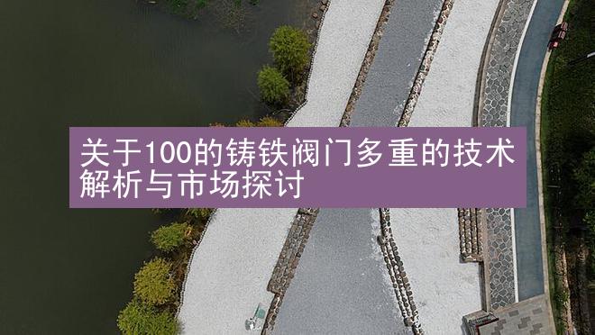 关于100的铸铁阀门多重的技术解析与市场探讨